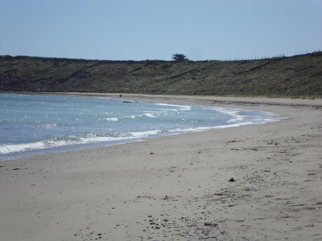 Clifford House B & B Rosslare Harbour Εξωτερικό φωτογραφία